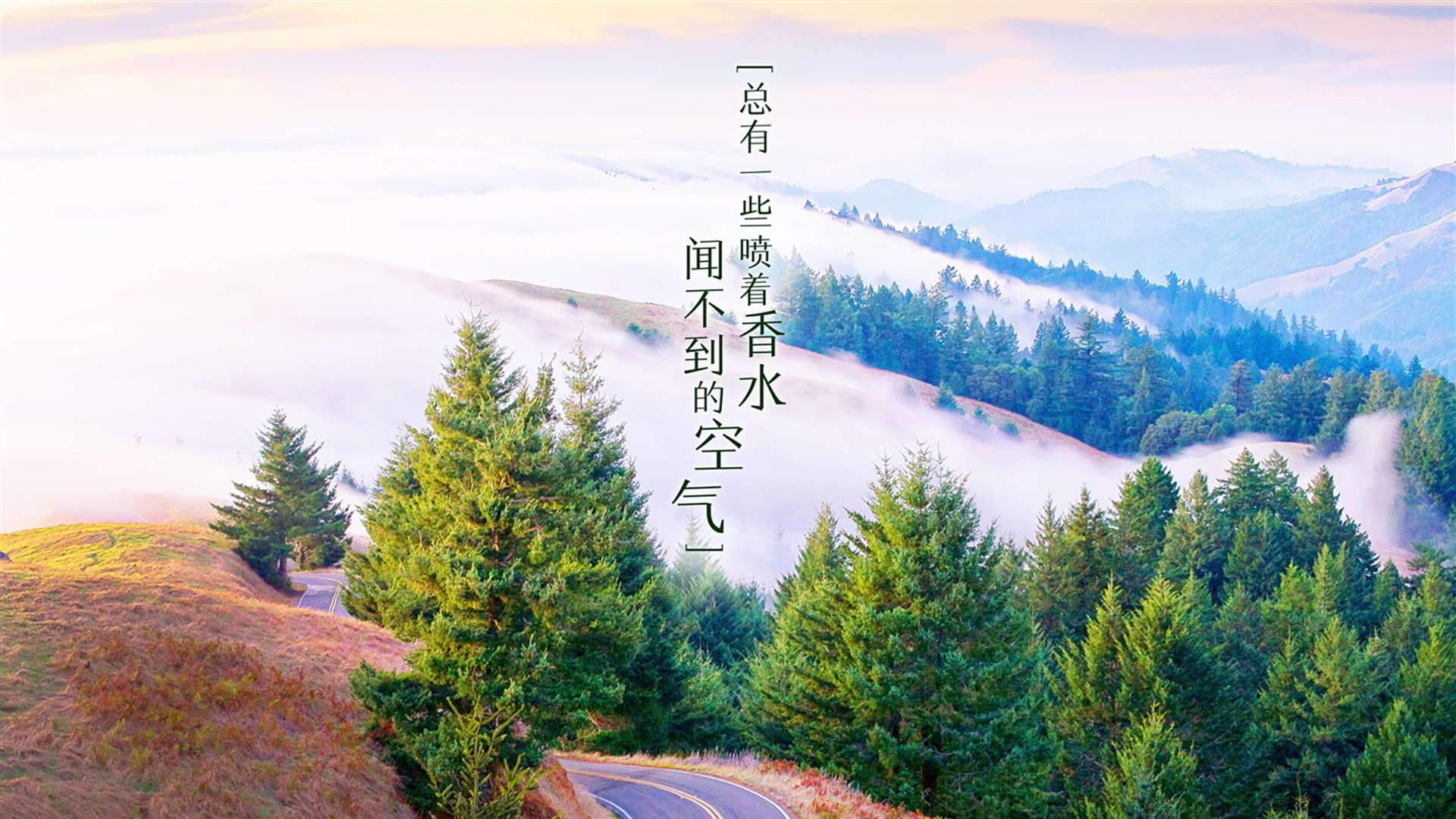 CBA球队赞助结构优化品牌合作更趋多元,cba赞助商有哪些