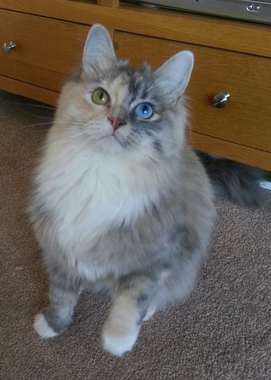 高校体育综合素养评估体系试点启动，大学生体育综合测评占比